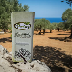 Natives Olivenöl extra aus Kreta von DENDRES, fotografiert in einem Olivenhain mit Meerblick